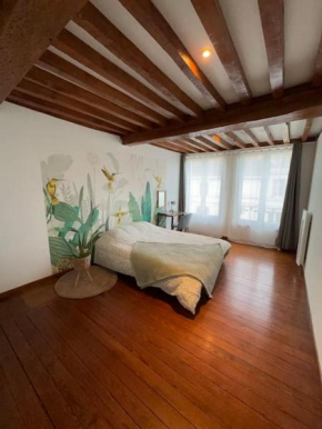 L' Appart cocoon